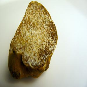  Truffes Blanche De Qualité - champignon levure --bonjour, --nous cherchons des clients ou des partenaires pour vendre de truffes noires,  blanches et rouges.--la fraîcheur du produit est garantie 