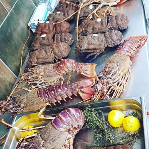  Recherche D'importateur Poissons Et Langouste - coquillage crustacé bonjour,  nous cherchons actuellement un client ou plusieurs pour notre projet d'export de poisson et de langouste,  nous sommes en tunisie plus précisément a bizerte,  nous disposons d'un bateau,  d'un complexe pour le conditionnement de poissons et de viviers pour les langoustes,  nos pri