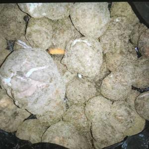  Truffe Blanche - champignon levure truffe blanche de bonne qualité,  provenant du nord tunisien et de tailles différentes ( de 4 à 8 cm).