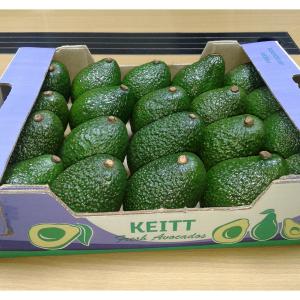  Avocat Hass De Kenya - fruits et légumes bonjour, je cherche de clients pour achat de avocat, hass origine  de kenya, pour plus des infos contactez moi --cordialement--
