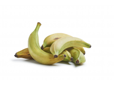  Recherche Acheteur Bananes Plantains Et Douces - fruits et légumes nous sommes une ferme agricole et nous avons des bananes plantains et douces sur une surface de 7ha soit 14000 pieds et nous sommes en p&eacute;riodes de r&eacute;coltes. nous recherchons un acheteur pour nos produits. nos bananes sont produits sans apports d'intrants chimiques. si vous etes int&eac