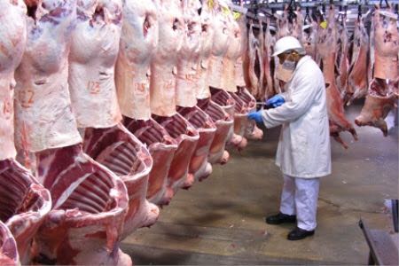  Viandes De Veaux Halal - viandes et oeufs nous mettons en vente des carcasses de veaux halal expédié par remorque frigorifique --race charolais /pinto /jeune vaches de 350 kgs