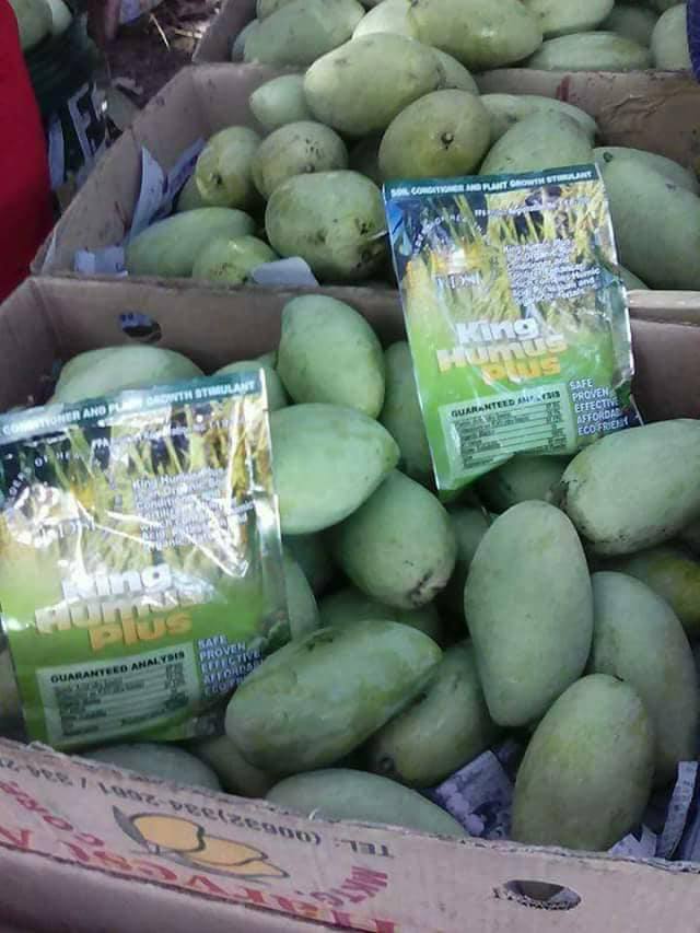  Angrais Biologique Pour Toutes Les Cultures - chimie additif engrais qu'est ce que king humus plus --king humus plus--- un stimulant de croissance des plants et un conditionneur du sol---contient 100% d'acide humic ,  12, 1% de potassium et 91, 12% de matière--organique .---l'acide humic réduit le besoin de fertilisation en raison de la capacité du 