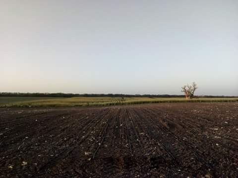  Terrain Diamniadio - mine terrain concession cession d'un terrain nu à usage agricole de 15 hectares de (150.000 m²) --avec délibération de la commune de diamniadio .--non loin de grandes exploitations agricoles--sol trés fertile de haute qualité pour tout type de culture --hmt forage dans zone 160 mét