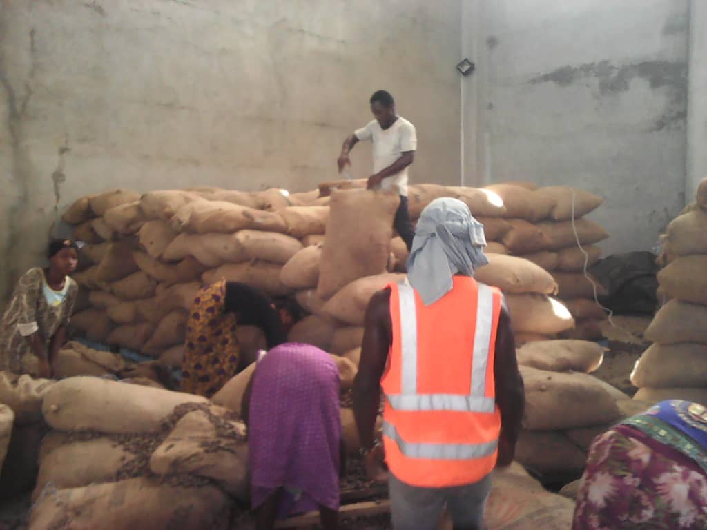  Importe Quantité De Noix De Cajou Vendre - fruits secs et graines grillées bien bonjour mesdames et messieurs,  --je suis fondateur et gérant de l'entreprise et,  en relation avec plusieurs fournisseurs agréés ici en côte d'ivoire nous disposons pour vente,  plus de 15 mille tonnes de noix de cajou bruts de qualité excellente à 1300 $ 
