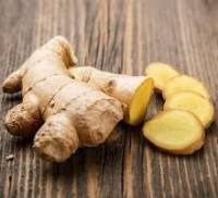  Recherche Acheteur De Gingembre Frais - fruits et légumes nous avons à notre disposition des gingembres frais. nous recherchons un acheteur pour nos produits. nos gingembres sont produits sans apports d'intrants chimiques. si vous etes intéresser nous pourrions vous envoyer des échantillons pour que vous en jugiez. nous vous proposons 