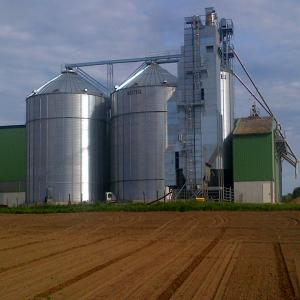  Chènevis Graine De Chanvre) - céréales bonjour,  nous disposons d'environ 200 tonnes de chènevis bio (graine de chanvre) .--celle-ci sont trier et sont disponible soit en vrac ou en big bag de 1 tonne .--notre entreprise est certifié à la fois par écocert et csa gtp .