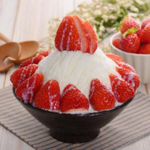  Kakigori Bingsu Shave Ice Granite Hawaïen - produits sucrés distributeur exclusif des machines hatsuyuki et doshisha pour la france,  la belgique,  la suisse et plus g&eacute;n&eacute;ralement les pays francophones.-- --nous sommes les sp&eacute;cialistes des desserts &agrave; base de neige,  obtenue avec de la glace ras&eacute;e ---- glace hawaïenne ou granit&