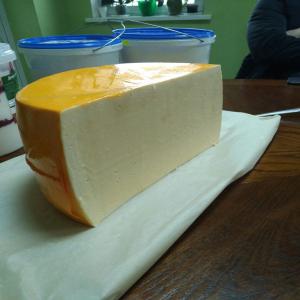  Cheese Product - milk and milk products cheese product-----fat content- 50%--ingredient- skimmed milk,  milk fat substitute,  salt,  calcium chloride,  preservative,   annato powder,  milk enzyme preparation of microbial origin,  starter cultur for direct use.--shelf life- 90 days--packaging- vacuum bag in the box