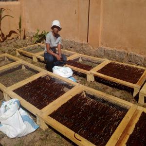  Vente Vanille Avec Agrément Exportateur - épices aromates entreprise d'exportation de vanille avec agrément exportateur,  nous travaillons en étroite collaboration avec nos préparateurs dans la partie sava pour assurer la qualité de nos produits. nous cherchons des clients sérieux et nous sommes aussi ouverte à tout