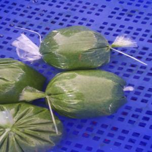  Spécialiste Légumes Africaine Surgelés - fruits et légumes nous sommes spécialisés dans les légumes exotiques africaine-asiatique des îles,   nôtre produits sont sur le marché européen de puis des années,  nous fabriquons la plupart pour les grossi et petits magasin alimentaire spécialiste exotiques