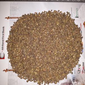  Café Gradé Ou Non - café cacao thé nous vous proposons du café vert usiné au prix cif 1.700 $ et fob - 1.655--$ la tonne--nous pouvons faire la torrefaction du café aussi