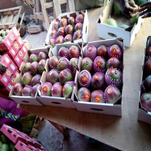  Fruits Exotiques Et Fruits Secs - fruits et légumes société export import de la côte d'ivoire. --nous sommes un fournisseur des fruits exotiques et fruits secs.-- les produits disponibles sont les suivants - --- banane douce/cavendish /plantin --- mangue --- noix de coco --- avocat hass --- maïs jaune et blanc --- gingembre--- ara