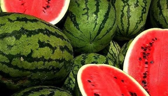  Pastèque Delta Qualité Zagora - fruits et légumes bonjour --nous proposons notre récolte 2018 de pastèque du sud de maroc qui sera prete a partir du 15 avril 2018. entre 08, 12, 17 kg. nous pouvons recevoir vos visites a notre suite de production et à votre entière disposition pour complément d’informations 