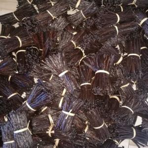  Looking For Vanillabeans-buyers - aromatic spices being an import-export company based in madagascar and germany specializing in vanilla,  we are looking for international customers land / or serious partners to work with us. we have gourmet bourbon vanilla grade a,  premium quality,  11-13cm,  14cm +. humidity level 35% maximum,  vanillin content 1.6% 
