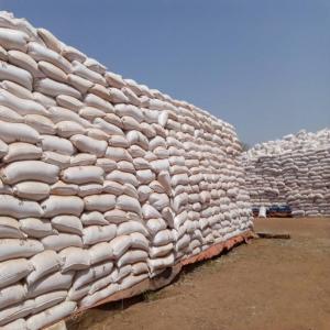  Graines De Coton - matiere vegetale disponibilité de 20.000 tonnes de graines de coton.--140.000 fcfa fob cotonou----analyses---1/ graines vides-2%--2/ graines moisies- 8%--3/ bonnes graines- 90%--4/ matières grasses- 23, 06%--5/ acidité- 1, 77%--6/ taux de linter-11, 95%--7/ humidité- 9, 65%--