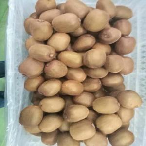  Kiwi Fruit - fruits and vegetables 1.supply period：aug.20th  end dec.--2.size-18#, 20#, 22#, 24#, 27#, 30#--3.weight- 70g   140g--4.shelf life - 5 month--5.temperature of storage -0 - 1℃--6.sweet brix- 18- 20