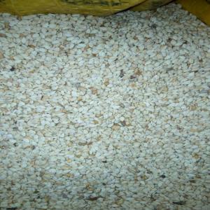  Vente De Sésame Blanc - semence graine plant vente d'une grande quantité de sésame blanc,  disponibilité de 80.000 tonnes. 740.000fcfa fob lome. le paiement se fera d'abord par une lettre de crédit confirmée.----	type - sésame blanc--	poids net - min 98, 88%--	brisures (%) - max 0
