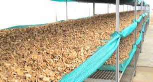  Poudre De Gingembre, Muscade, Piment 100% Pure - épices aromates société industrielle installée à dakar,  vendons des poudres de gingembre,  noix de muscade,  piment,  ail parfaitement fabriquées et conditionnées suivant les normes phytosanitaires en vigueur. ----capacité de production- 28 tonnes soit un conteneur 40' 