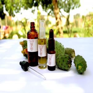 Fournisseur de huiles végétales du Maroc - huiles propriétaire de terre au maroc,  nous produisons et distribuons différentes huiles végétales- figue de barbarie,  rose,  argan,  noix,  orange,  sésame...--nous maîtrisons ainsi toutes la chaine de production pour vous assurer une qualité optimal à to