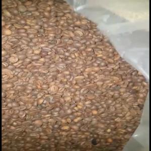  Cafe Torrefie - café cacao thé nous pouvons vous livrer du café grade et torréfié g1-g2-g3 a partir du prix fob  3.2 €/kg en cafe torrefie.nous pouvons vous livrer chaque 2 semaines.possibilite de prefinance .toutes les conditions sont negociables.intermediaire s abstenir.