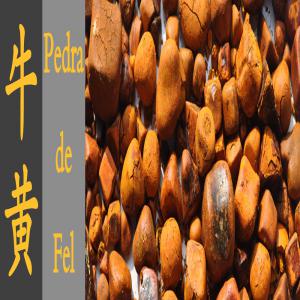  Calculs Biliaires Bovins/ Gallstone - animaux vivants nous achetons sommes une entreprise farmaceutique chinoise de plus de dix ans d'expérience spécialisée dans l'achet des calculs biliaires bovins ( gallstone,  牛黄) pour fins médicinales à prix élevé ,  si vous avez des calculs biliaires bov