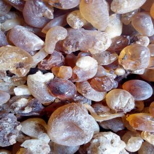  Vente De Gomme Arabique De Qualité Un Prix Tres - matiere vegetale vente des gomme arabique de qualité a des prix tres abordables.. merci de me contacter  