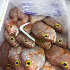  Export De Poissons Frais Et Congelés - poissons bonjour  nous sommes une soci&eacute;t&eacute; de production de poissons nous exportons un peu partout nous elargissons notre client&egrave;le nous cherchons de gros clients capables de prendre jusqu'&agrave; plusieurs tonnes et aimerions travailler directement avec l'acheteur sans interm&eacute;dia