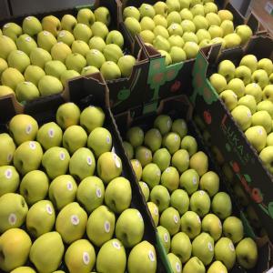  Pomme Golden Disponible - fruits et légumes  pomme golden cat.1 --disponible 1 camion/semaine &agrave; partir du mercredi 2 mai 2018 jusque fin mai/d&eacute;but juin----prix net d&eacute;part cavaillon--70-75 = 0, 95 eur/kg --75-80 = 1, 00 eur/kg --80-85 = 1, 05eur/kg ----emballage - colis 60/40 2 rangs marque « luka » ,  stickers sur le rang sup