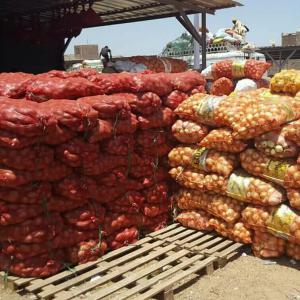  Vente De Pommes De Terre - fruits et légumes pommes terre locale en vente ici  a notto gouye diama dans la règion de thies avec un prix abordable .veuillez me contacter si vous etes intéressé. 