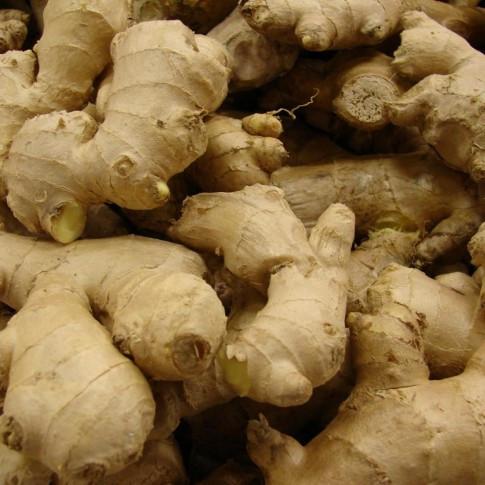  Ginger From Madagascar Dry Or Fresh - aromatic spices we are just starting the harvest of ginger here in madagascar.--we are offering fresh,  dry finger and dry sliced ginger.--for pricing,  packaging and delivery concerns,  please inbox me.--this offer is valid until stock last.