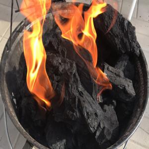  Charbon De Bois D'olive - bois charbon fibre une quantite de charbon de bois d'olivier,  pour chicha ou barbacue. nos produits sont tres prisés aux usa et au canada. nous cherchons un partenaire serieurx en europe pour lancer la campagne de l'aid