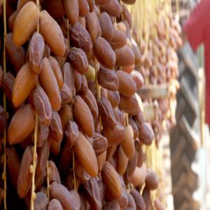  Exportation Des Dattes - fruits et légumes bonjour, --nous cherchons des partenaires et des clients  partout dans le monde ,  nous proposons des dattes avec un meilleur rapport qualité/prix merci de nous contacter par message sur ce site