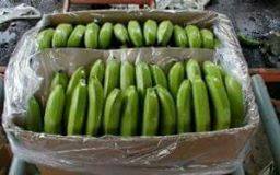  Banane Douce Cavendish Noix De Cocos - fruits et légumes nous disposons de bananes douces cavendish et des noix de cocos de qualités supérieures --origine- cote d'ivoire.--disponibilité- plus de 10 conteurs par semaine de chaque produit--conditionnement- conteneurs frigorifiques,  sacs exports,  cartons ventiles--autres produits- ananas