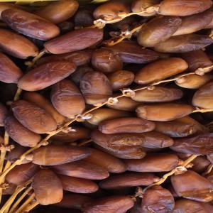  Dattes Deglet Nour - fruits et légumes nous avons une quantit&eacute; de dattes deglet nour de tr&egrave;s bonne qualit&eacute; (1er choix) de biskra alg&eacute;rie. pour plus d'information contacter moi au priv&eacute;. 