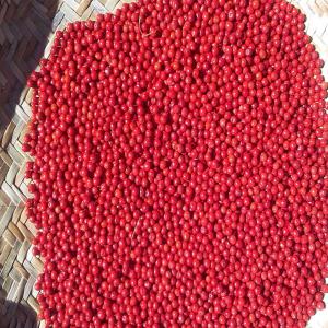  Baie Rose Pink Pepper - épices aromates baie rose origine madagascar / pink pepper from madagascar--reste disponible 1 lot de 6 tonnes sur campagne en cours (dispo mi juillet 2018)--     - 15% grade 1,  15% grade 2 en sac de 2 kg,  --     - et 70% grade 3 sac de 20 kg.--faire offre (caf port européen ou ddp possible). contrôle 