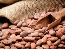  Fèves De Cacao De Madagascar - café cacao thé nous commercialisons des f&egrave;ves de cacaos issus d' ambanja,  la partie nord de madagascar. le notre est un mixage des 3 vari&eacute;t&eacute;s de cacao (criollo,  trinitario et forastero).--information approximative sur 100g de f&egrave;ves de cacao ---- 95 f&egrave;ves/ 100g--- 5 f&egrave;ves e