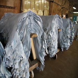  Wet Blue De Qualité Superieur - Industrie exploitation important,  important,  important,   nous sommes une société de ventes - en peau de mouton,  peau de chèvre wet blue . nous avons une quantité importante. nous avons première qualité de peau nettoyée. pas sérieux s'abstenir. contactez-nous si vous 