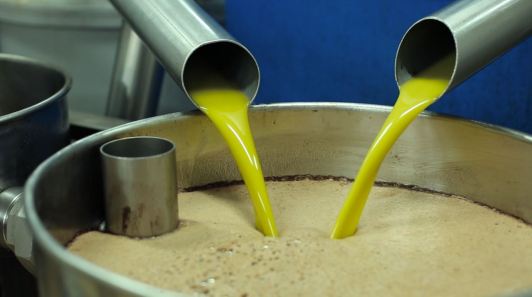  Huile D'olive Extra Vierge Biologique En Vrac - huiles nous sommes un groupe de coop&eacute;ratives produisant de l huile d olive extra vierge de la r&eacute;gion de les garrigues en catalogne   espagne avec appellation d origine prot&eacute;g&eacute;e les garrigues.--notre production annuelle est de 3.000.000 kg d huile d olive extra vierge de la vari&