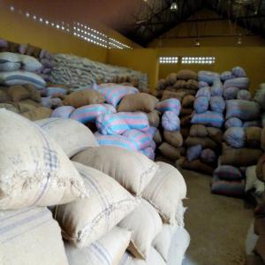  Soja Sec - fruits secs et graines grillées nous sommes une société intermédiaire négoce afrique sarl du bénin et nous disposons 3000 tonnes de soja bio auprès d'une société ghanéenne. nous recherchons un ou des clients pour leur achat au prix fob de 400 usd tonnes. merci de nous 