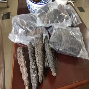  Vente De Concombre De Mer Frais - poissons je suis un production s&eacute;n&eacute;galais de concombre de mer frais. je cherche des clients fid&egrave;les pour lier un partenariat &agrave; court ou long terme.--prix tr&egrave;s abordable.