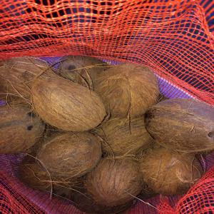  Ananas Frais Et Noix De Coco - fruits et légumes notre experience dans l'exportation de fruits et produits tropicaux respectant les normes internationales global gap et respectant le cahier de charge de nos clients faire de nous l'un des leaders dans la sous regions ouest africaine.--nos produits- ananas, bananes;noix de coco.--disposer pour toutes