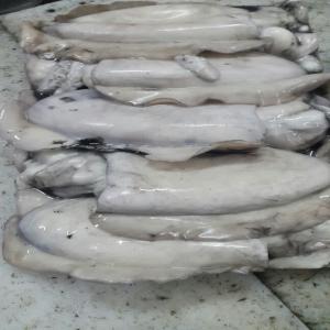  Offre Seiches Entieres Maroc Toutes Tailles - poissons sieches entieres peche du jour super qualite non traitée  maroc origine--cuttle fish cleaned day catch super quality not traited  morroco origine 