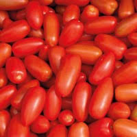  Tomates Séchées - fruits et légumes vente saison 2018 tomates séchées de variété sabra et ercole,  en provenance de tunisie,  région sud monastir--devis à la demande sous condition de transaction et de conditionnement.--perfect peel à la demande. 