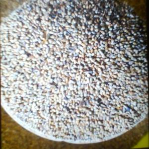  Vente De Petit Mil Ou Milet - céréales petit mil ou milet transformé en farine blanche et fortement consommé en afrique de l'ouest et du centre,  --stocké à dakar