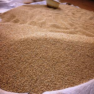  Soja Sans Produits Chimiques Synthétique - fruits secs et graines grillées nous sommes une société spécialisée en conseil agricole et la mise en marché des produits agricoles tropicaux des réseaux d'acteurs (producteurs,  commerçants,  transformateurs et prestataires de services) des chaines de valeur agricoles. nous disposons