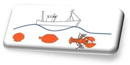  Homard Europeen Langouste Rouge, Tourteaux, ... - coquillage crustacé nous sommes une société de mareyage spécialisée dans le crustacé vivant basé en finistère sud.--nous proposons - - homard européen--                             - langouste rouge / rose--                             - tourteaux --              