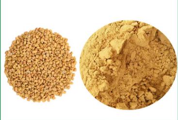  Vente Fenugrec/ Fenugreek On Sale - fruits secs et graines grillées le fenugrec aussi appelé sénégrain ou trigonelle est une plante aromatique aux vertus médicinales. le fenugrec est un très bon stimulant et fortifiant général. nous vous proposons du fenugrec en graine et en poudre,  selon votre besoin. 