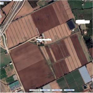  Ferme Agricole Vendre Sur Le Maroc - fruits et légumes je mets à vendre une ferme agricole de 47 hectares titrée situé à 15 km de la ville de larache (rwamra) sur la route national n° 1 idéal pour culture des fruits rouges (fraise,  framboise,  mûres et myrtille).--installations -  --1-	grand frigo sur place--2