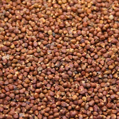  Recherchons Fournisseurs De Maniguettes - fruits secs et graines grillées bonjour, --nous recherchons urgemment un fournisseur de maniguettes (grains de paradis) pour un contrat annuel d'achat